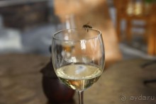 Гора по имени Огонь