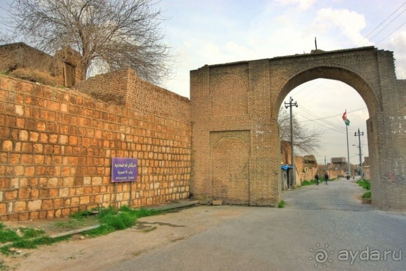 Альбом отзыва "Ирак по правилам и без"