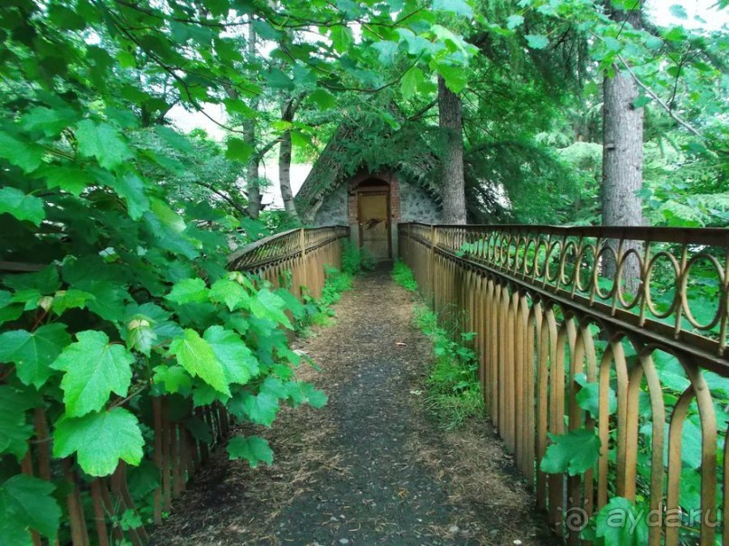 Альбом отзыва "Киндер-Закавказье. Из ливней в пекло"