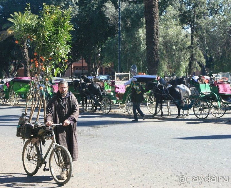 Имперскими городами. Касабланка, Марракеш