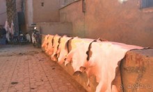 Имперскими городами. Касабланка, Марракеш