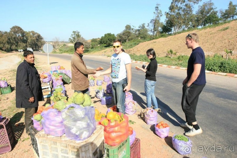 Имперскими городами. Касабланка, Марракеш