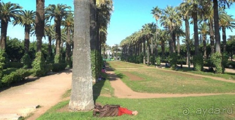 Имперскими городами. Касабланка, Марракеш