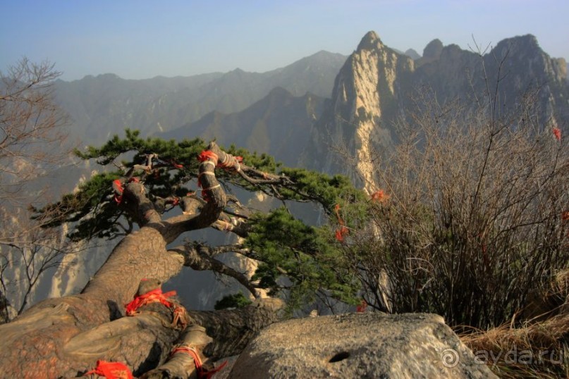 Мифы и реальность самого опасного маршрута мира