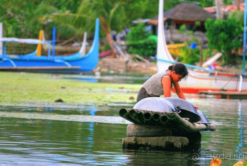 Барыги Тааля