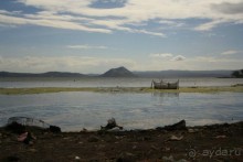 Барыги Тааля