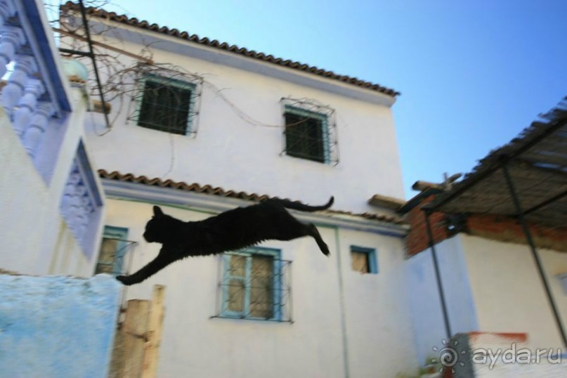 Синий город. В лабиринте улиц