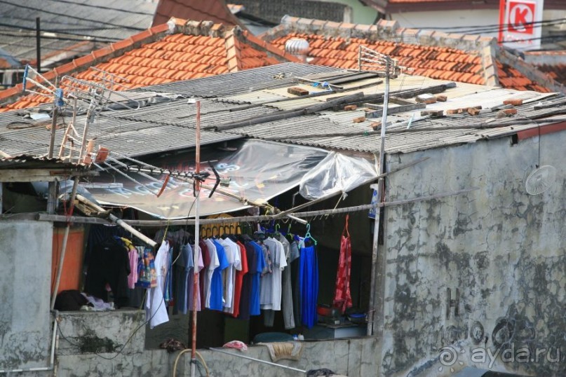 Полюбить Джакарту