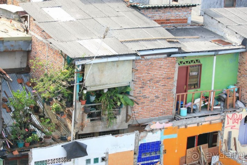 Полюбить Джакарту