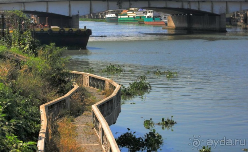 Сладкая Манила в даль меня манила