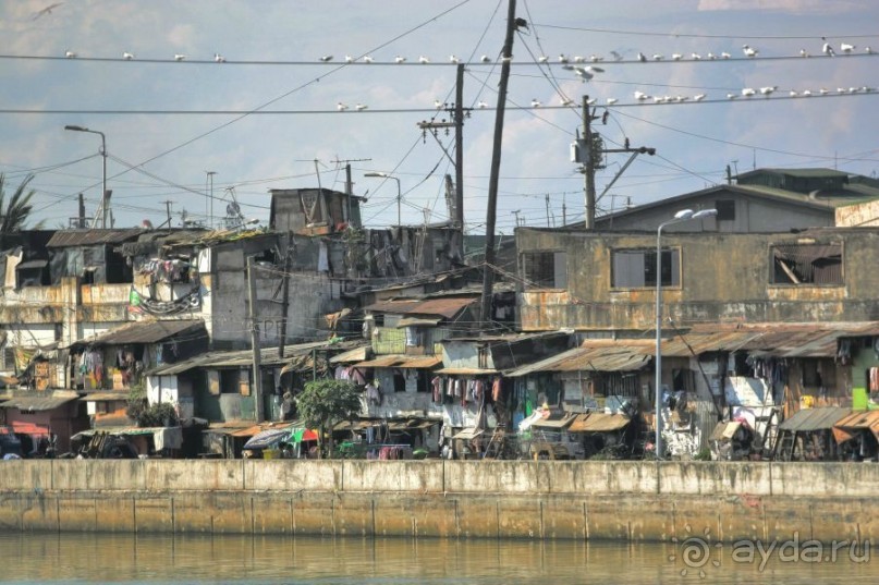 Сладкая Манила в даль меня манила