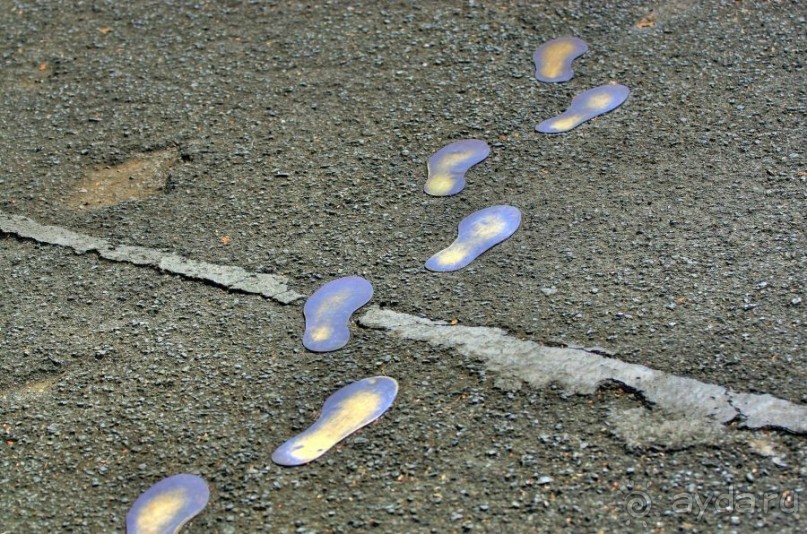 Сладкая Манила в даль меня манила