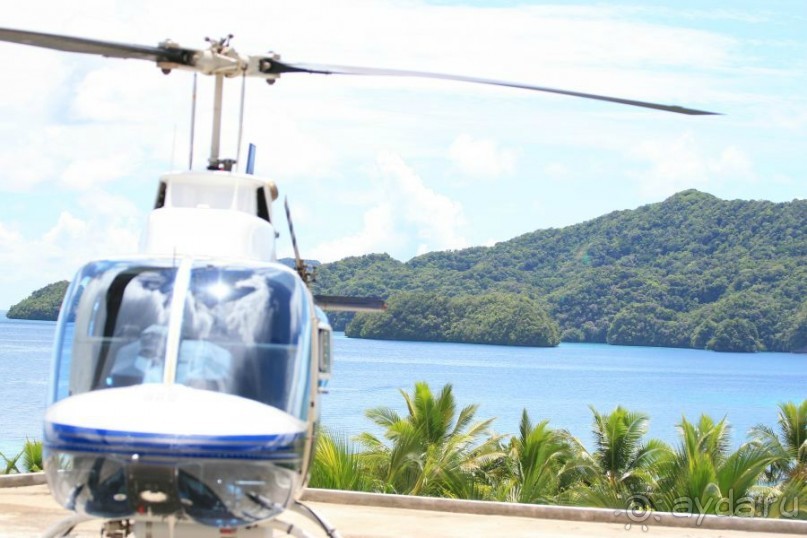 Альбом отзыва "Погружение в Палау"