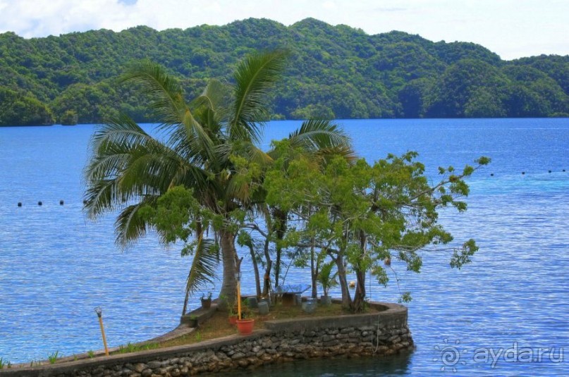 Погружение в Палау