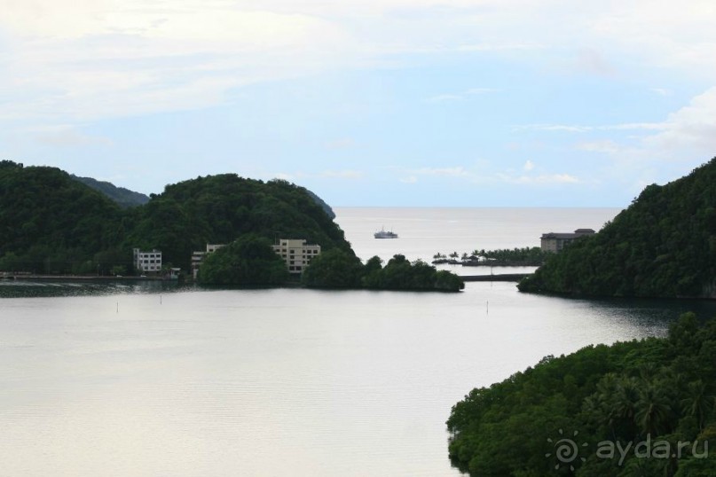 Погружение в Палау
