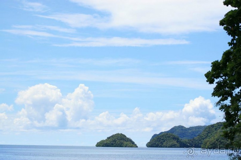 Погружение в Палау