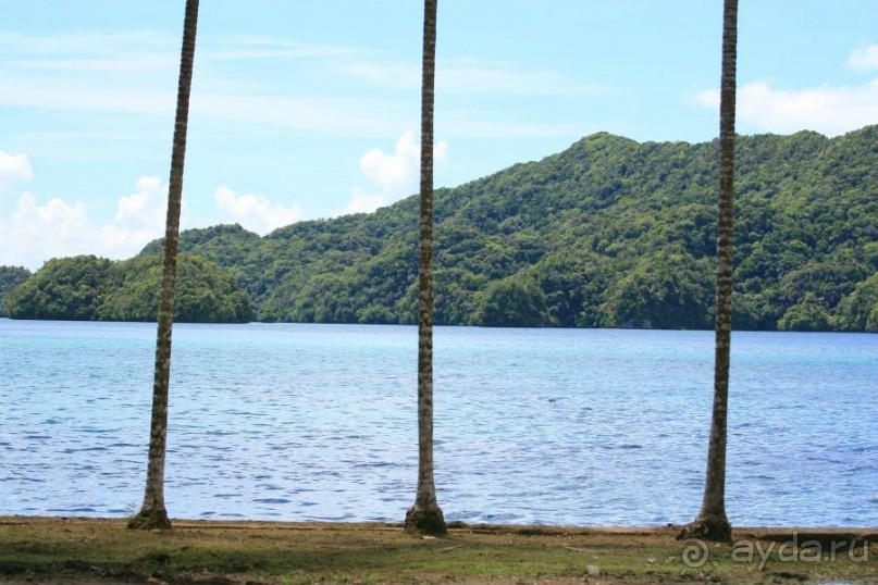 Погружение в Палау