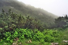 Сокровища Балкан. Ледяная пещера