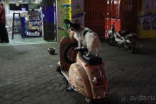 Вверх по великой реке