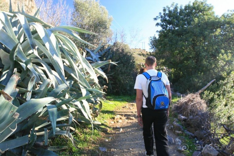 Там, где теряется синева