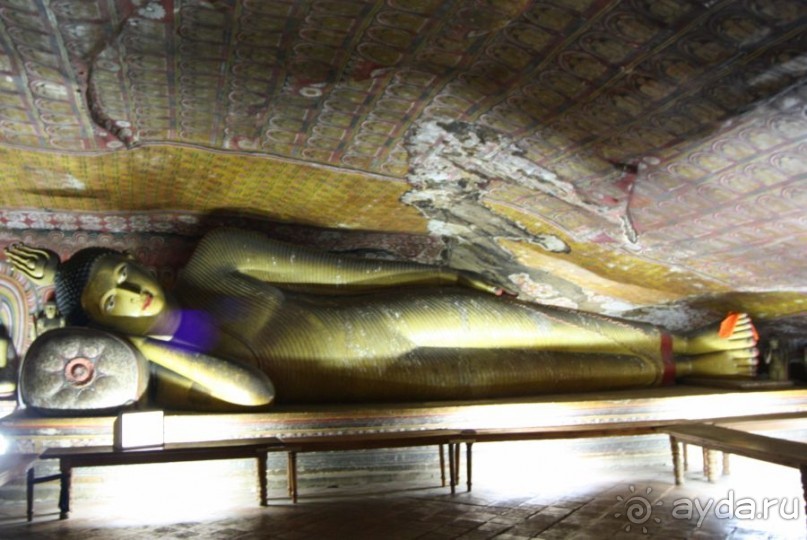 Золотое кольцо Цейлона. Дамбулла