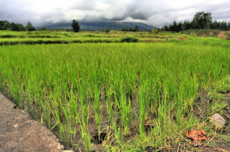 Вулкан Майон, Легаспи, Кагсава и все, что по пути