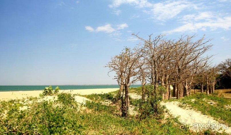 Скучный Банжул и его весьма нетривиальное кладбище