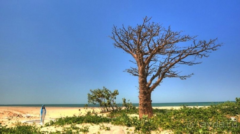 фото Гамбии