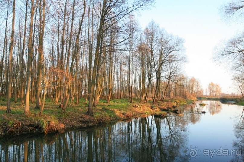 Альбом отзыва "Белая Русь. Красный Берег"