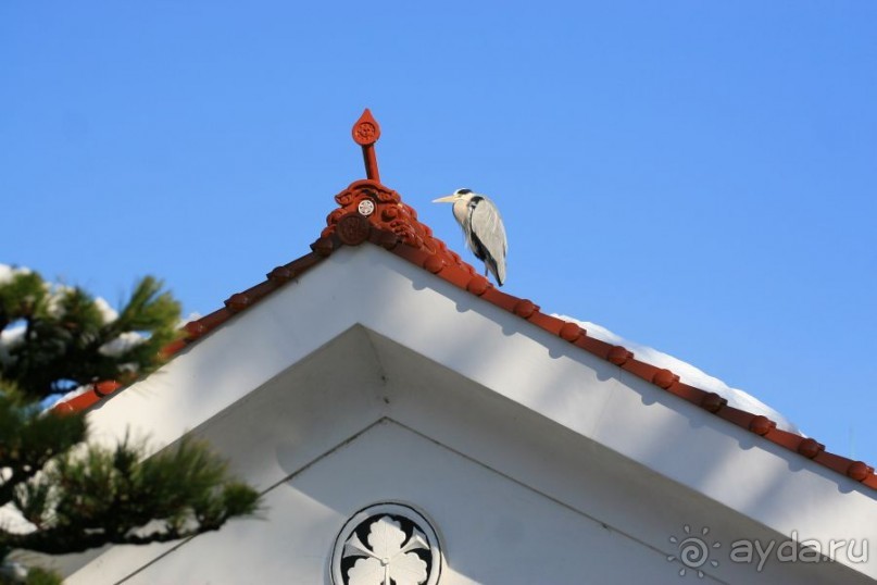 Тысяча тории Цувано