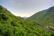 Стон изумительных устриц