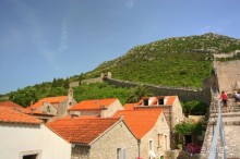 Стон изумительных устриц