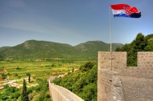 Стон изумительных устриц