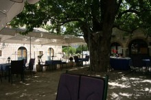 Стон изумительных устриц