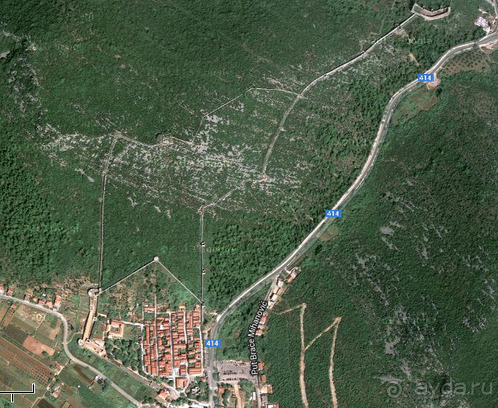 Стон изумительных устриц