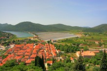 Стон изумительных устриц