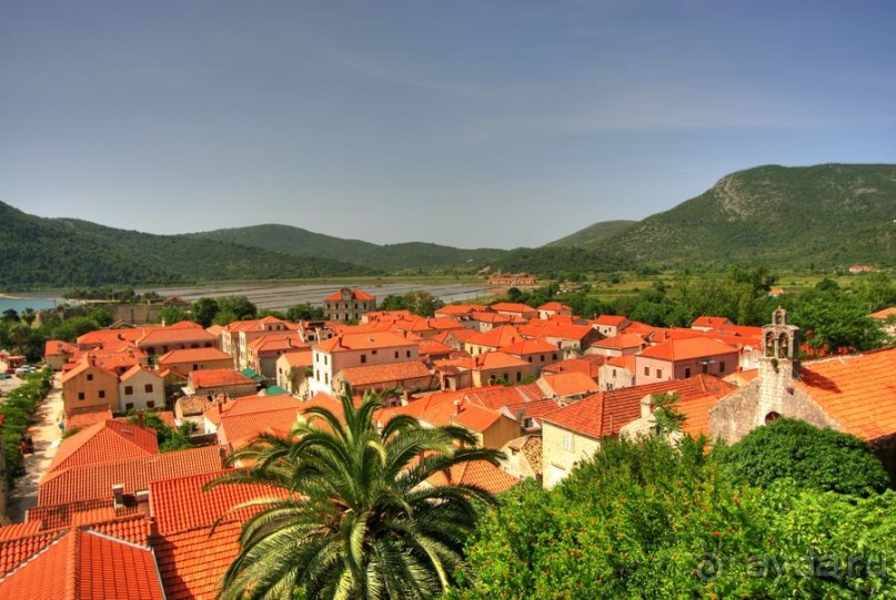 Стон изумительных устриц