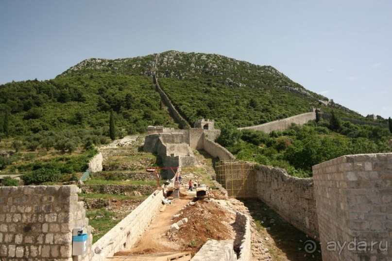 Стон изумительных устриц