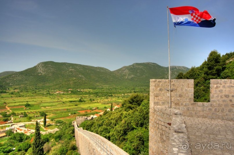 Стон изумительных устриц