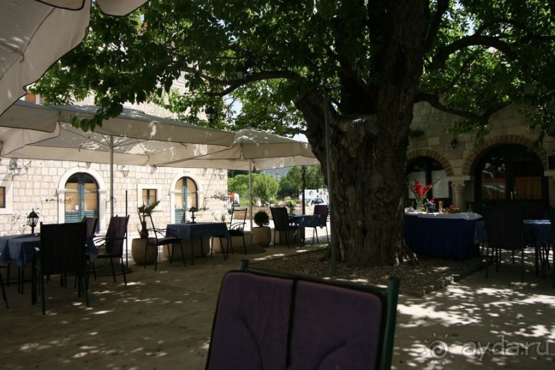 Стон изумительных устриц