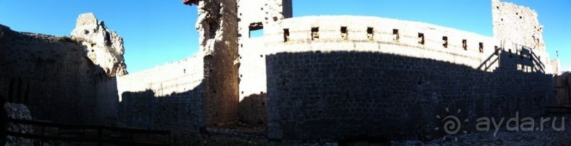 Стон изумительных устриц