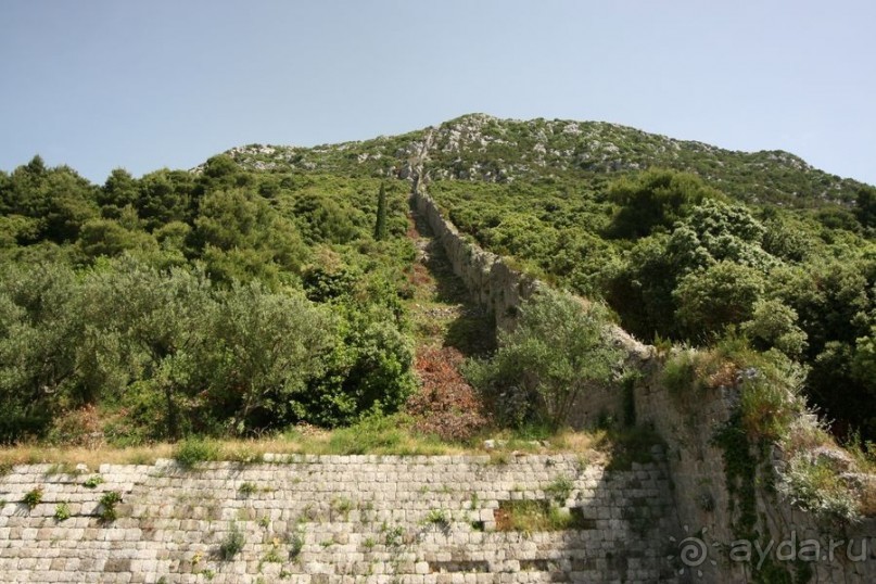 Стон изумительных устриц