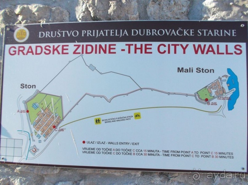 Стон изумительных устриц