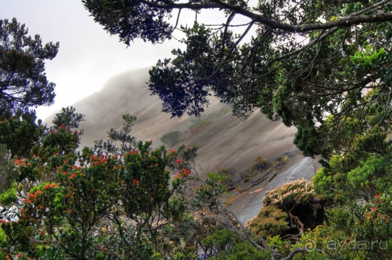 Кинабалу one-day trip