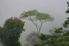 Кинабалу one-day trip