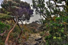 Кинабалу one-day trip