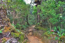 Кинабалу one-day trip