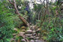 Кинабалу one-day trip