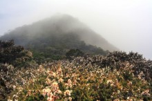 Кинабалу one-day trip