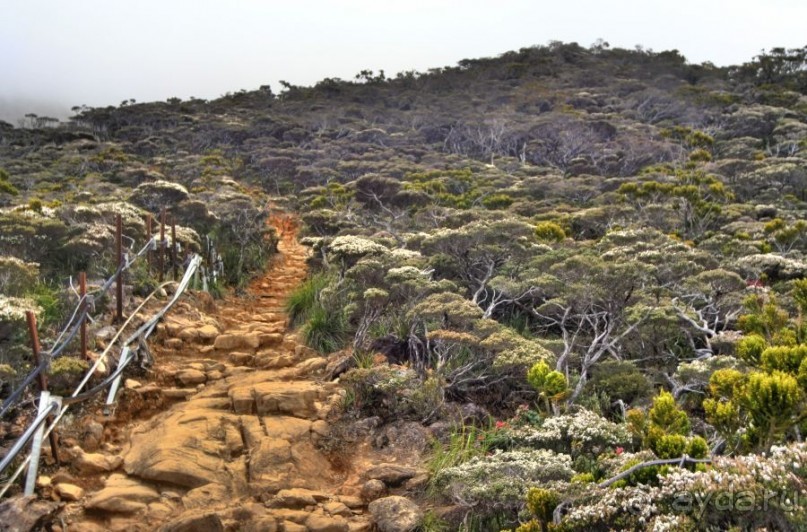 Кинабалу one-day trip